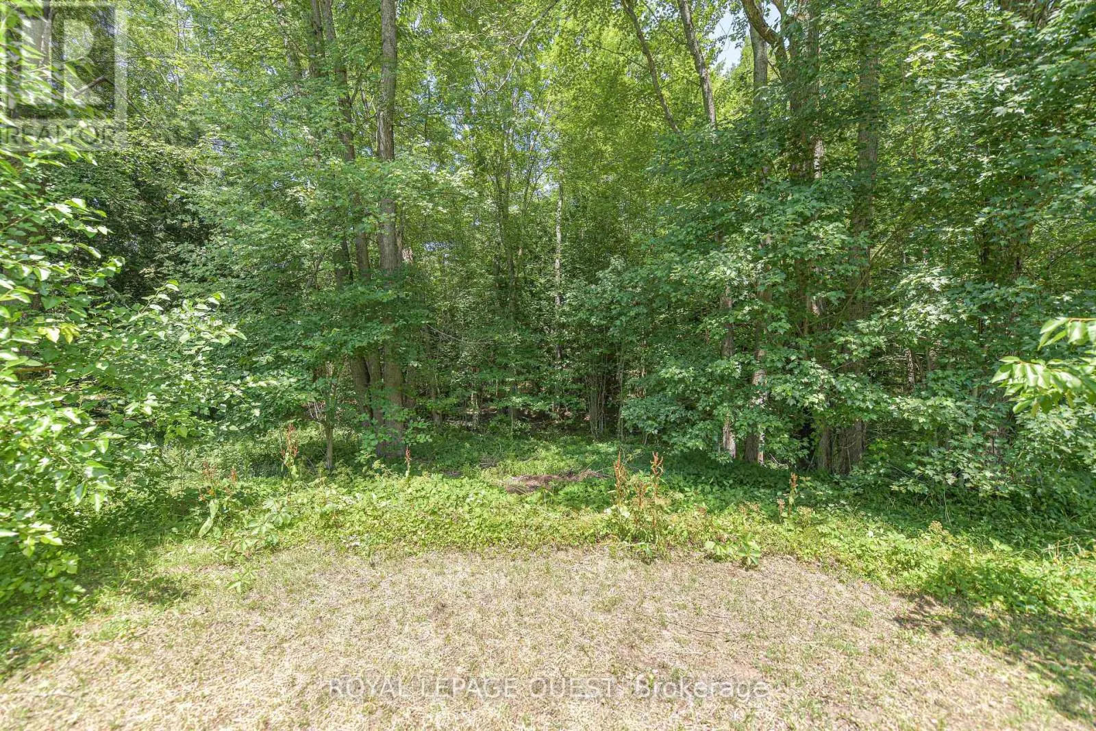1046 SOUTHWOOD ROAD