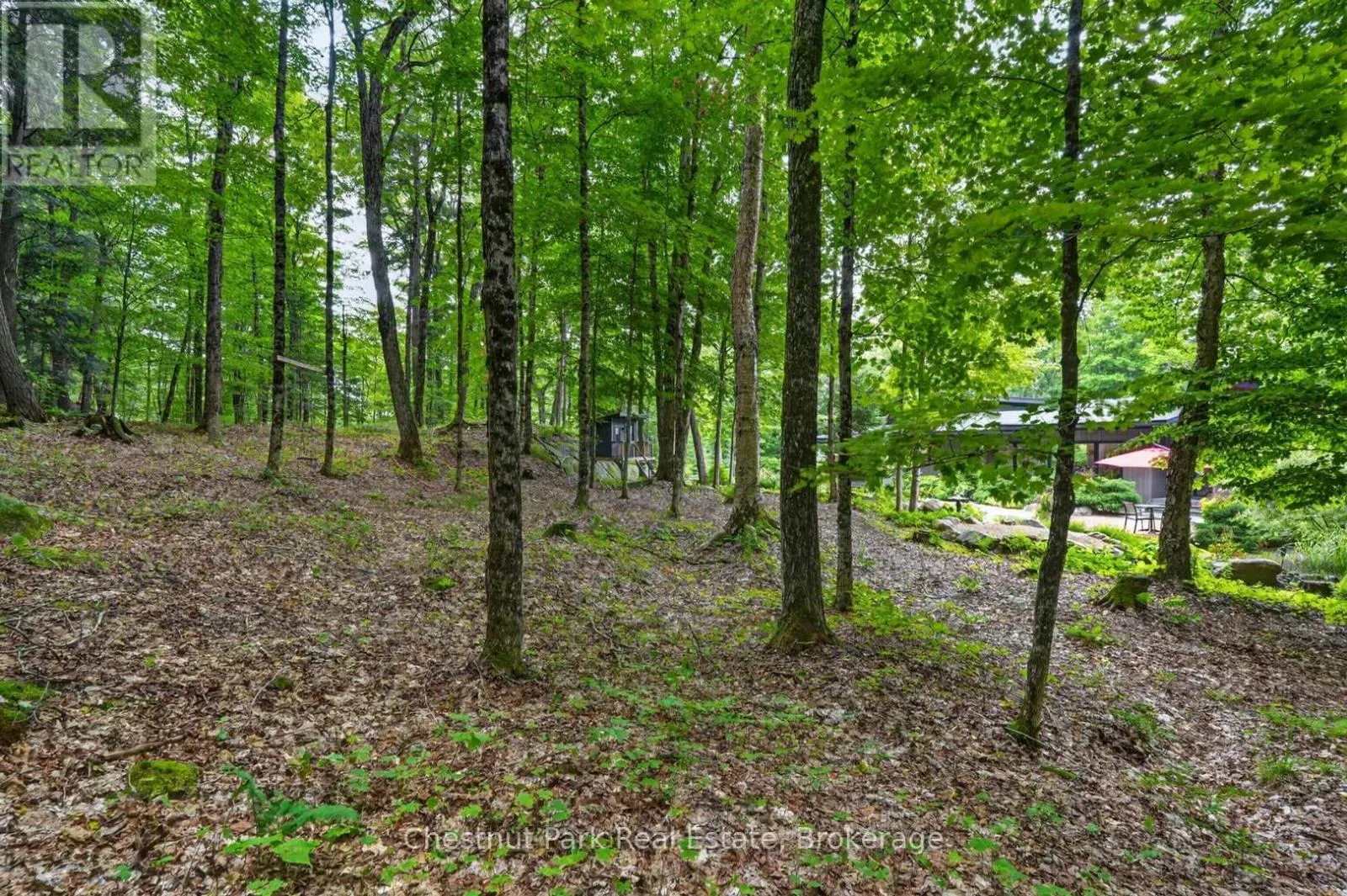 115 LINDGREN ROAD E
