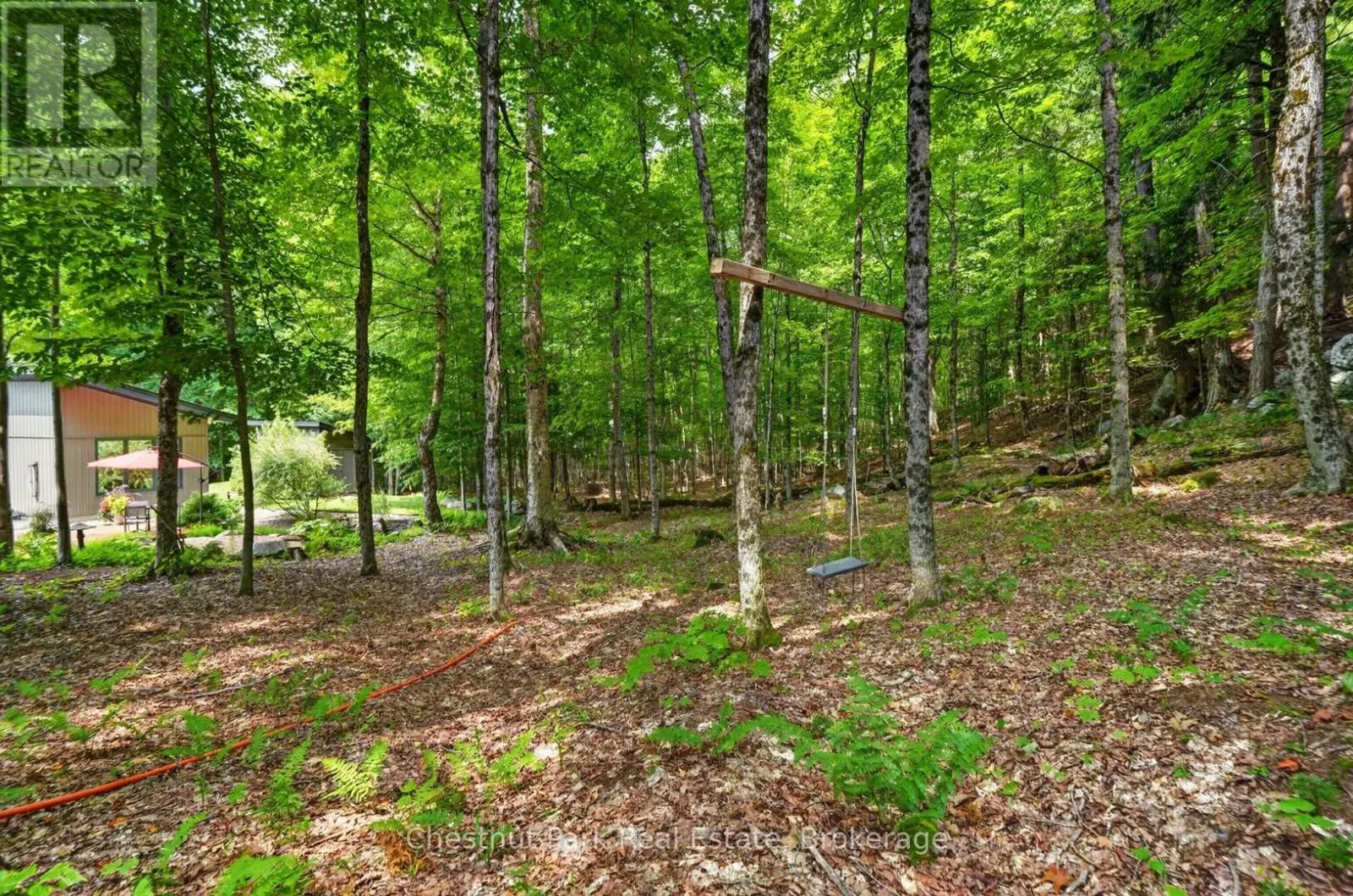 115 LINDGREN ROAD E