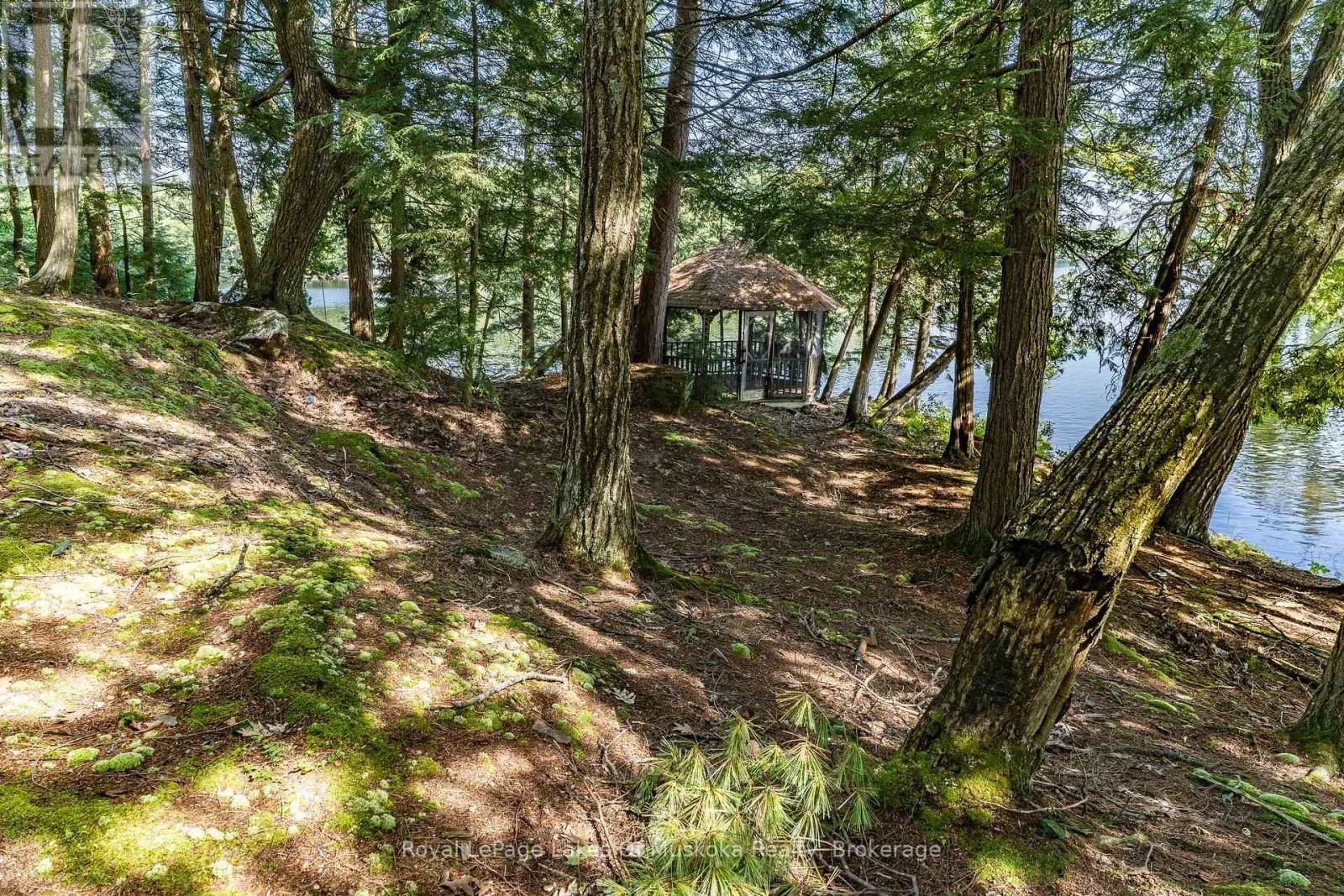 2115 LAKE MUSKOKA