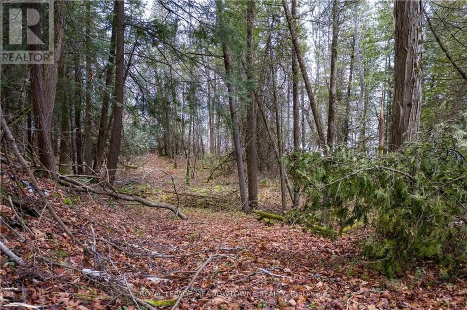 LOT 12 EAGLE RIDGE DRIVE