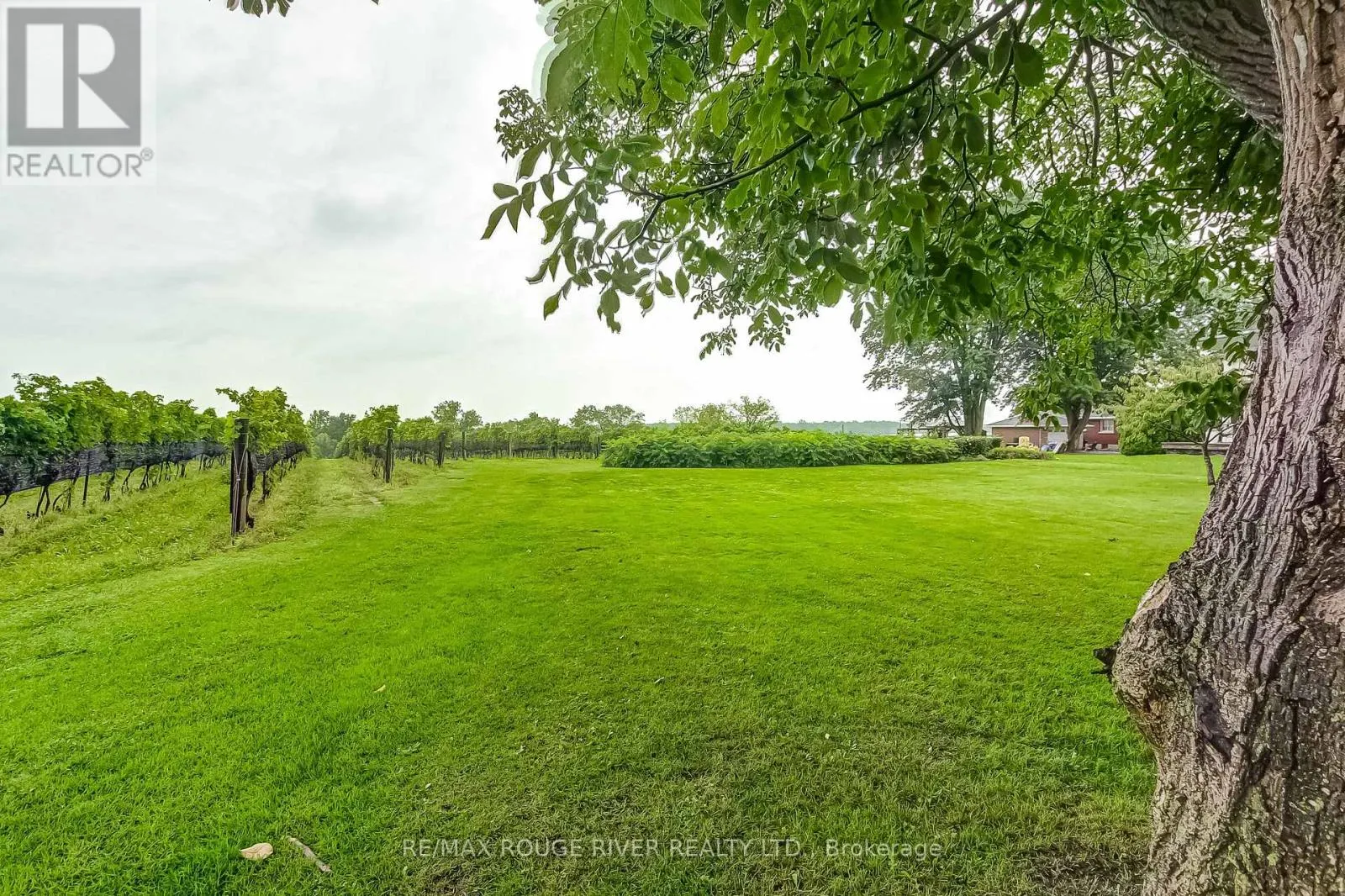 290 FOUR MILE CREEK ROAD