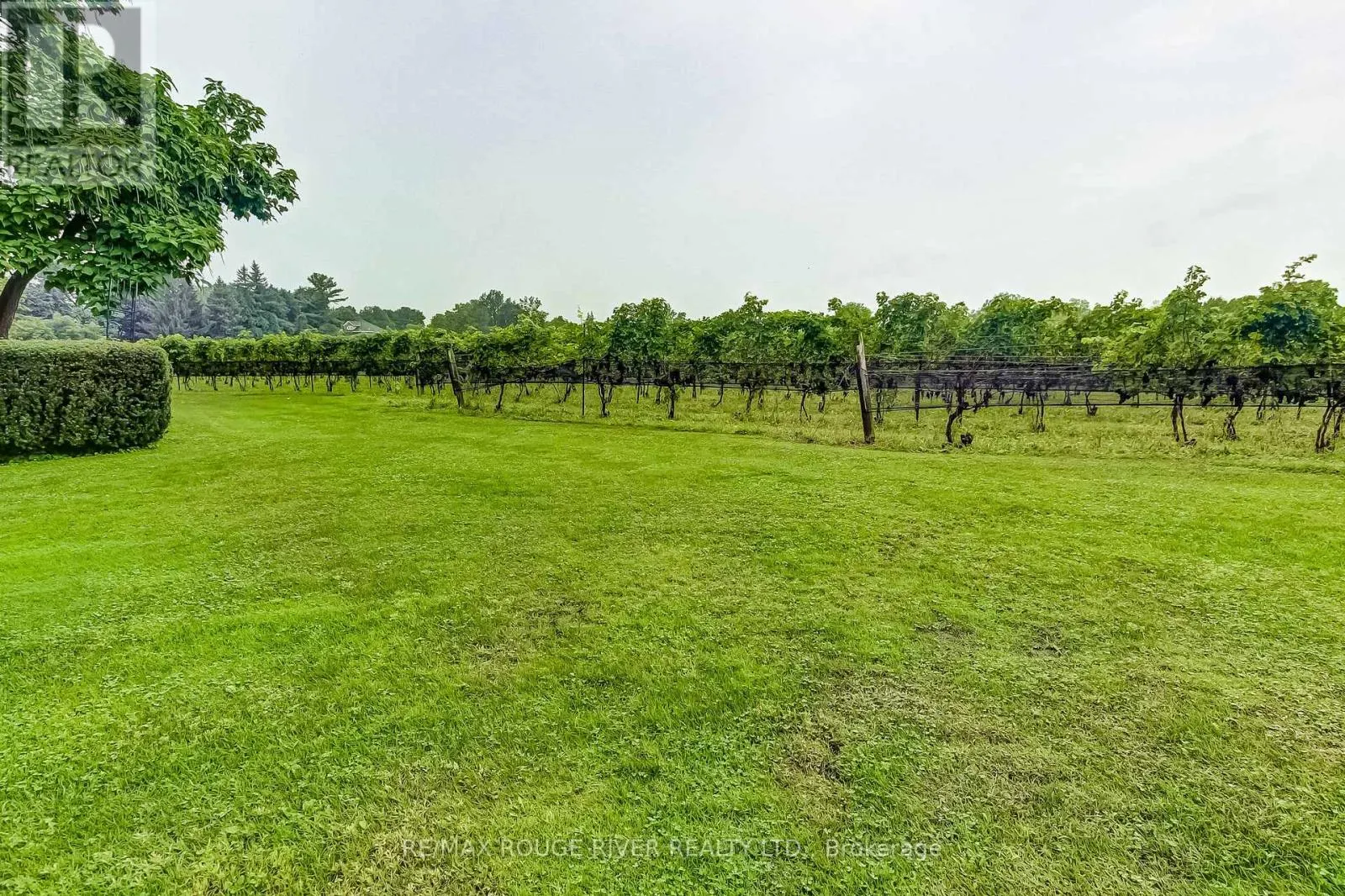 290 FOUR MILE CREEK ROAD