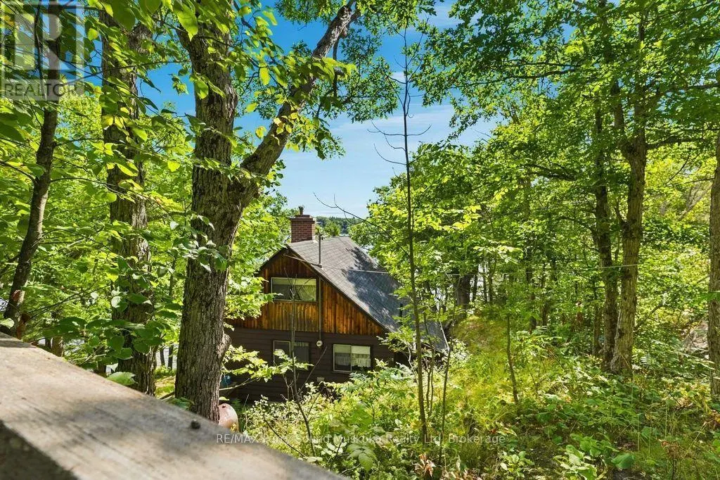 334 HEALEY LAKE