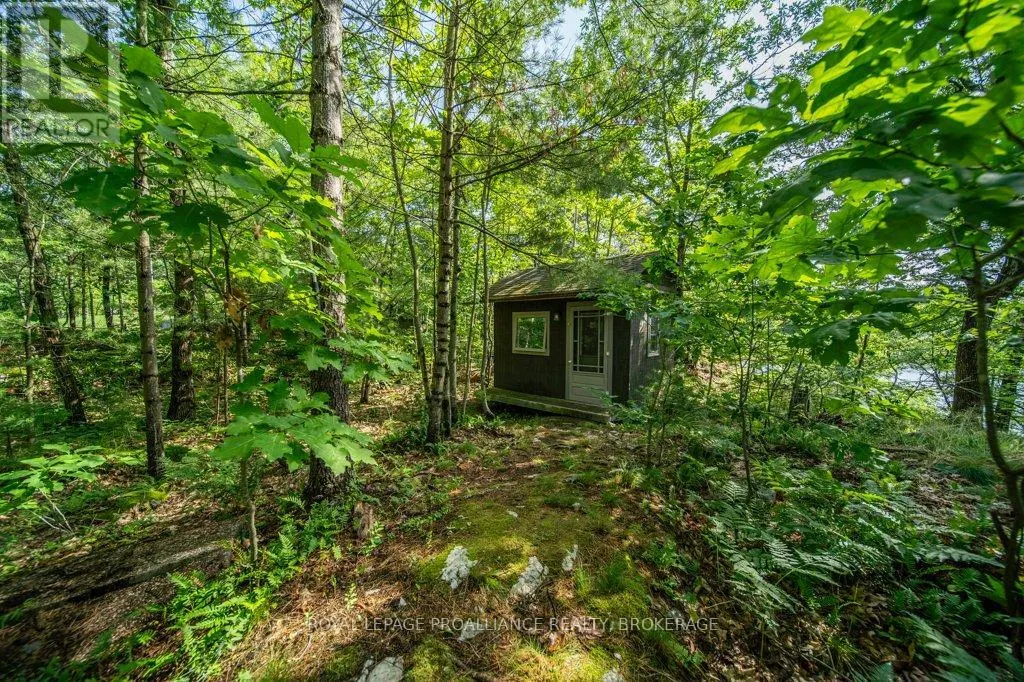 811 HERMIT THRUSH LANE