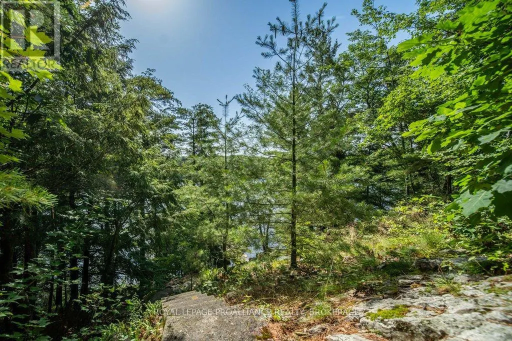 811 HERMIT THRUSH LANE