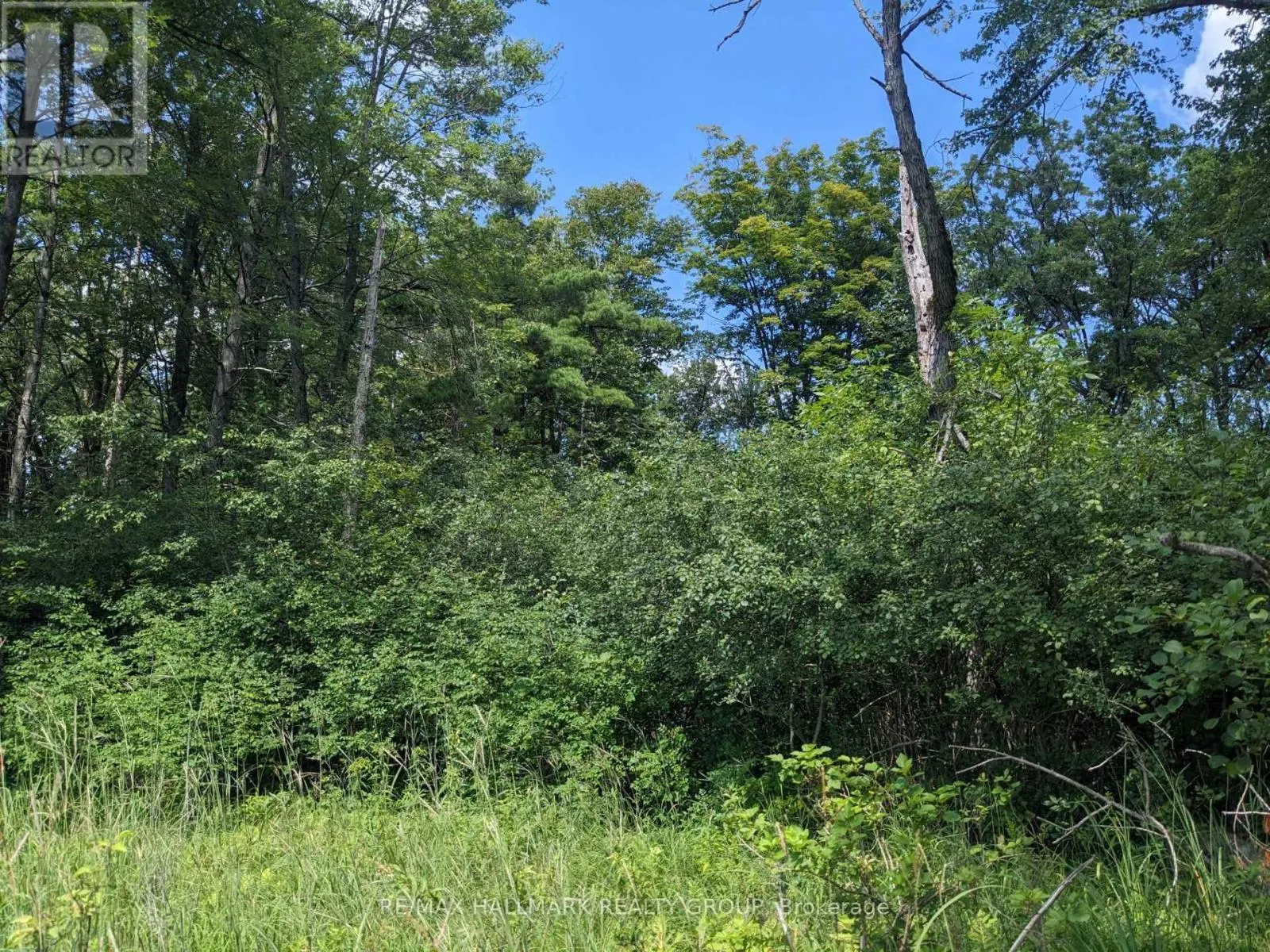 180 KEDEY ISLAND