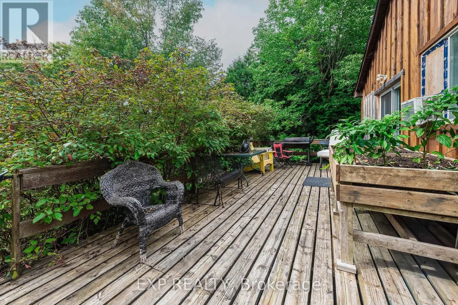 637166 PRINCE OF WALES ROAD