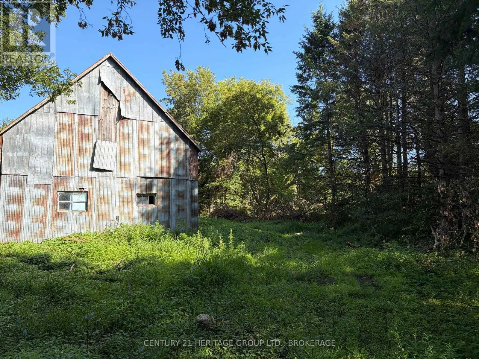 523 LOWER OAK LEAF ROAD