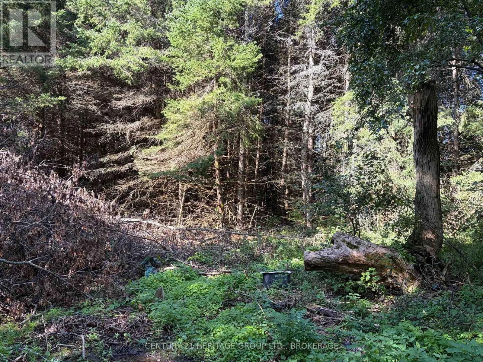 523 LOWER OAK LEAF ROAD