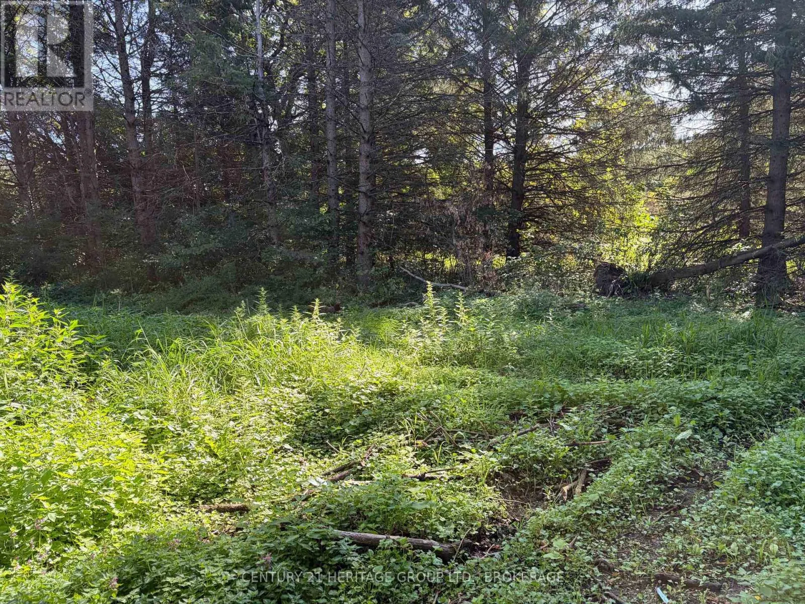 523 LOWER OAK LEAF ROAD
