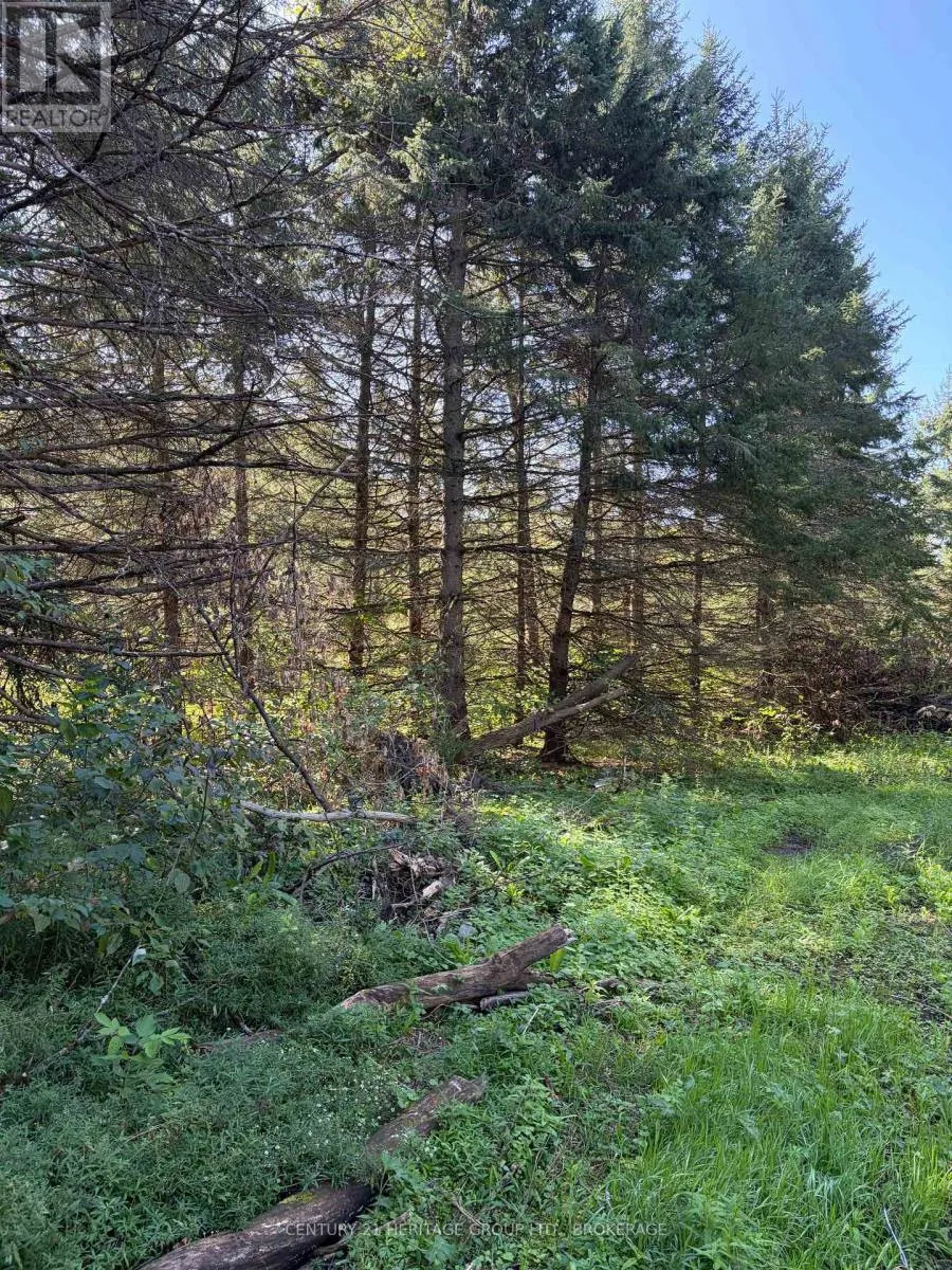 523 LOWER OAK LEAF ROAD
