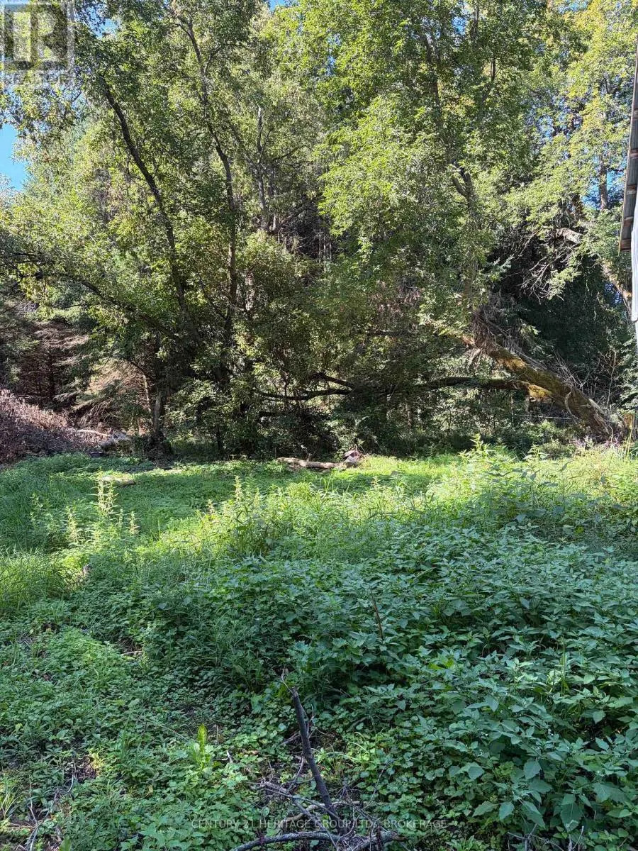 523 LOWER OAK LEAF ROAD
