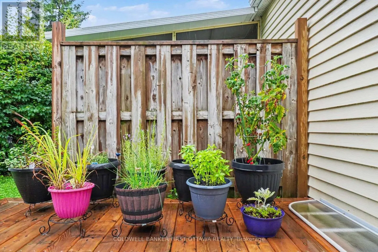 6 BATHURST ROAD