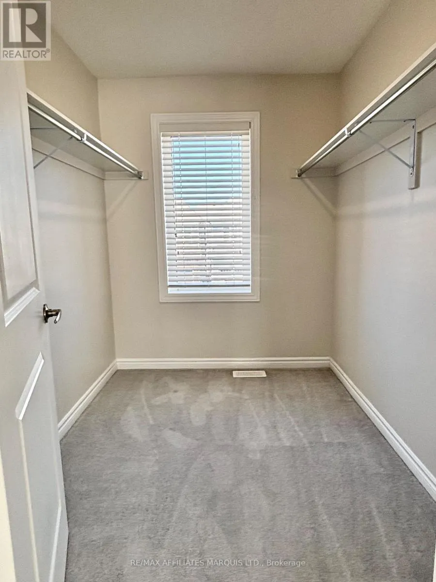 526 STURNIDAE STREET