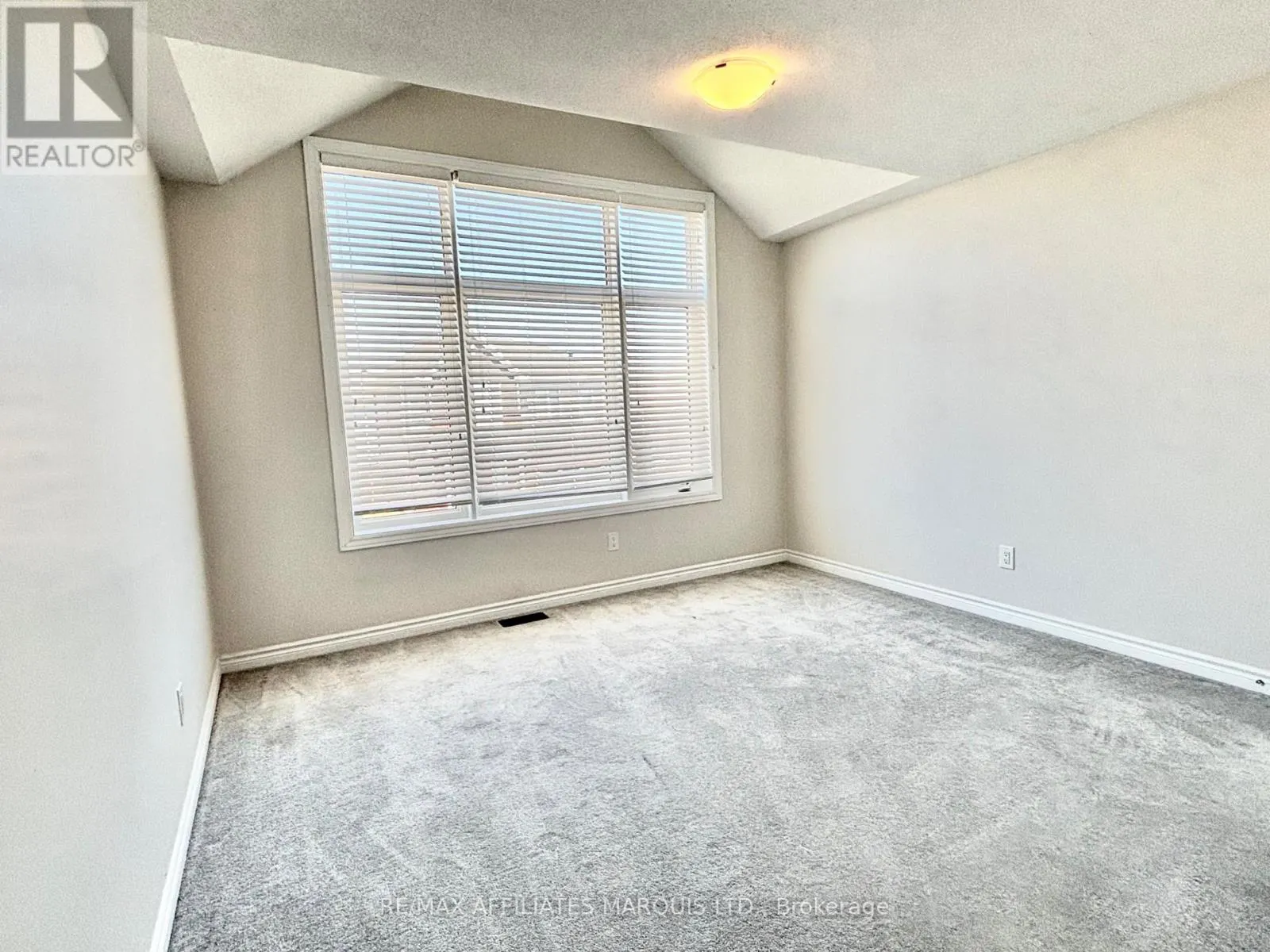 526 STURNIDAE STREET