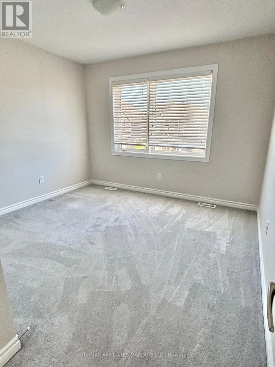 526 STURNIDAE STREET