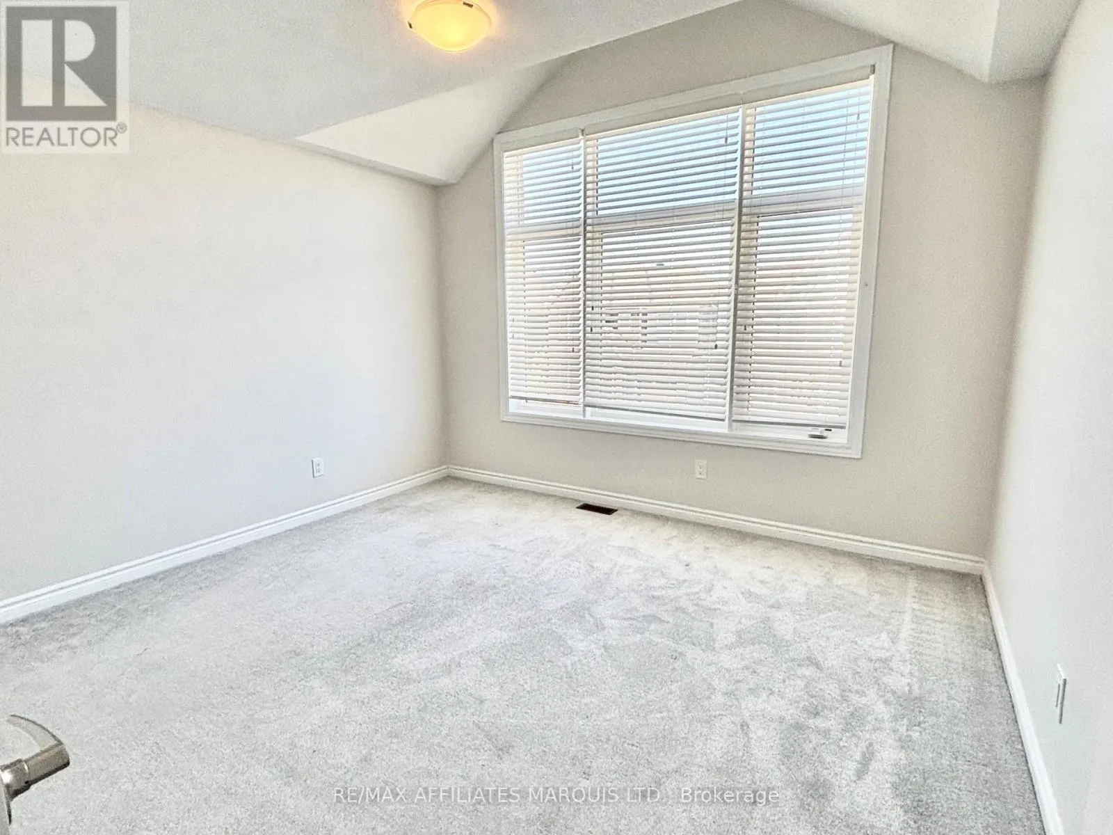 526 STURNIDAE STREET