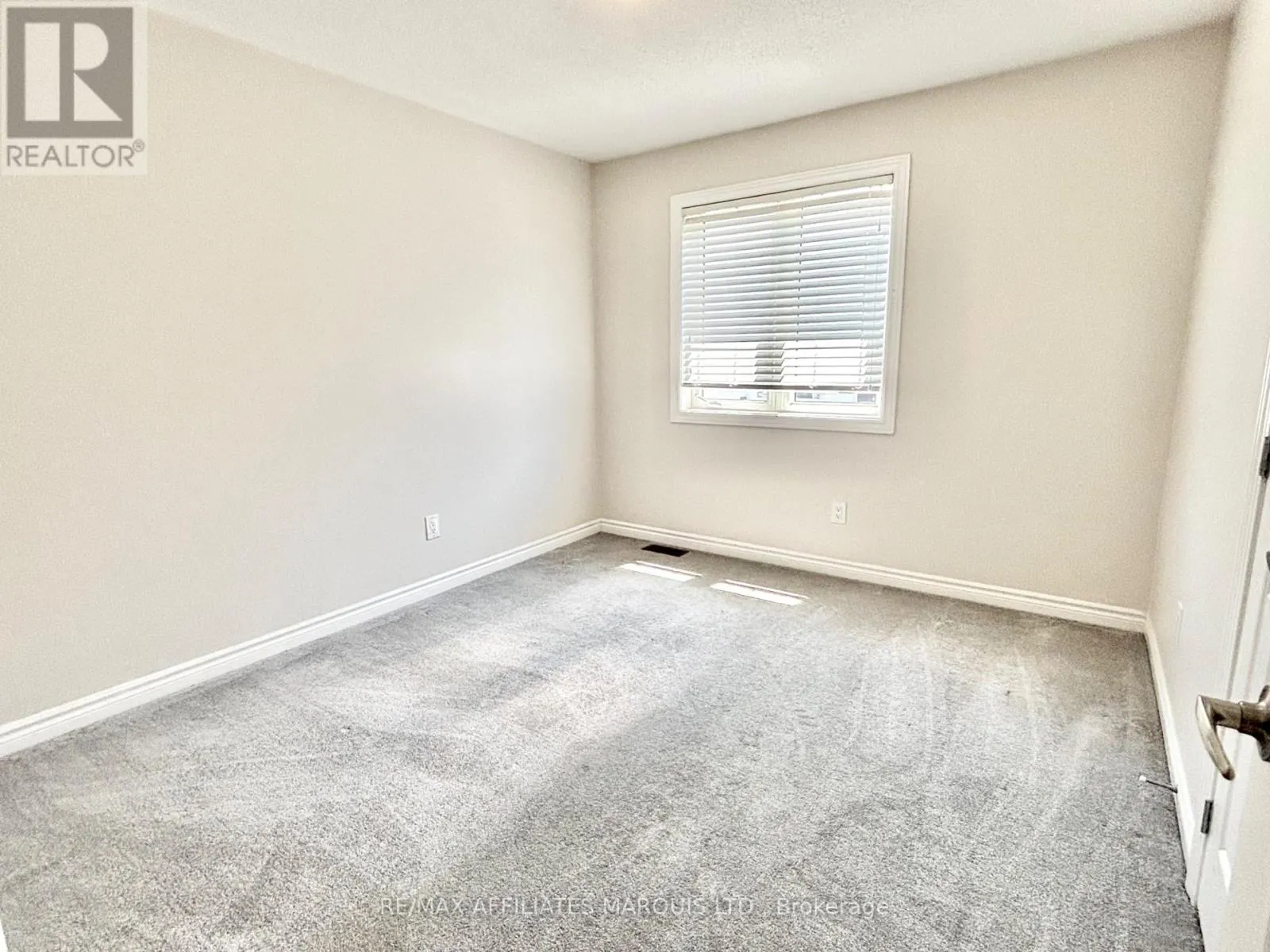 526 STURNIDAE STREET