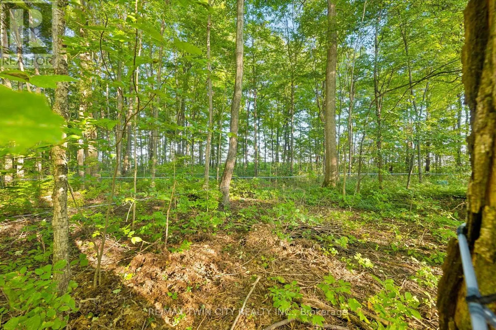 2018 GREENWOOD HILL ROAD