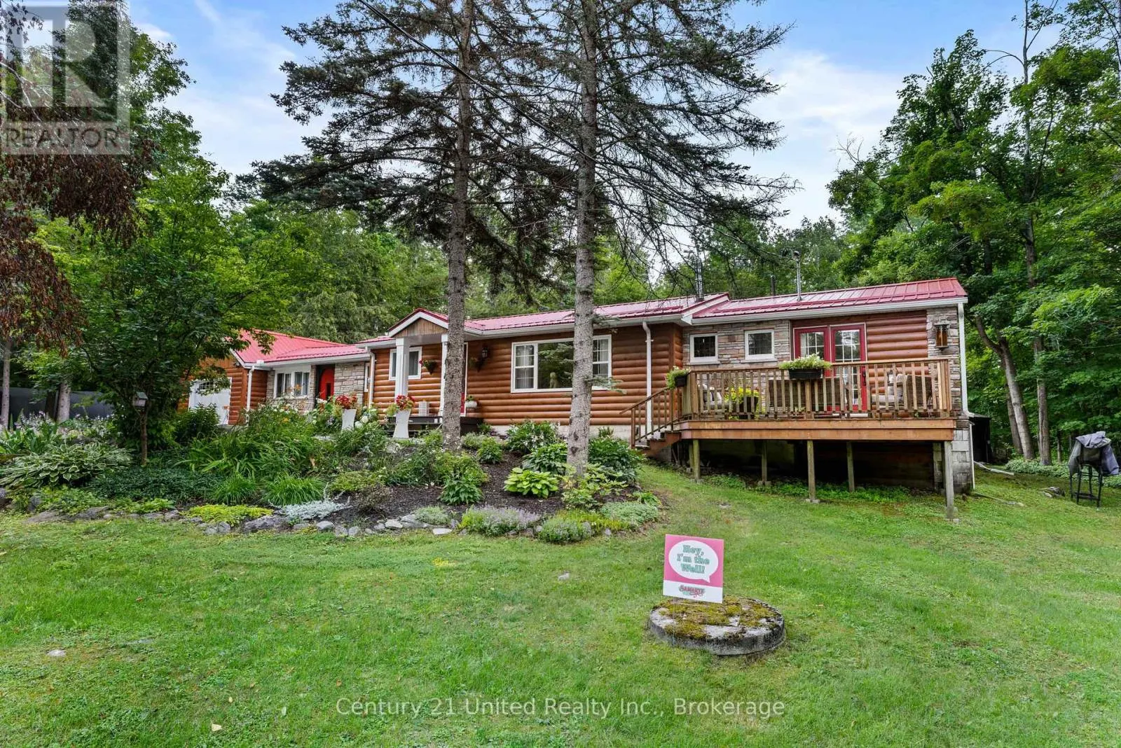 11 BIRCH TERRACE