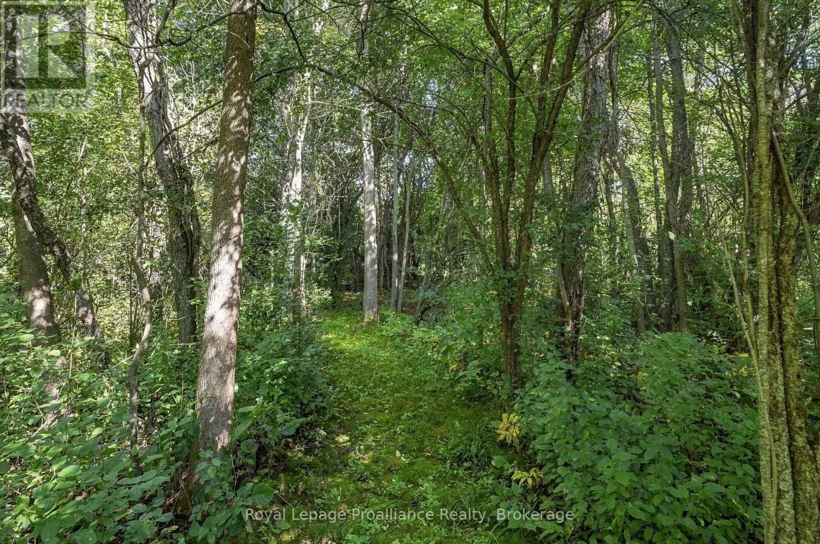 630 ENGLISH SETTLEMENT ROAD