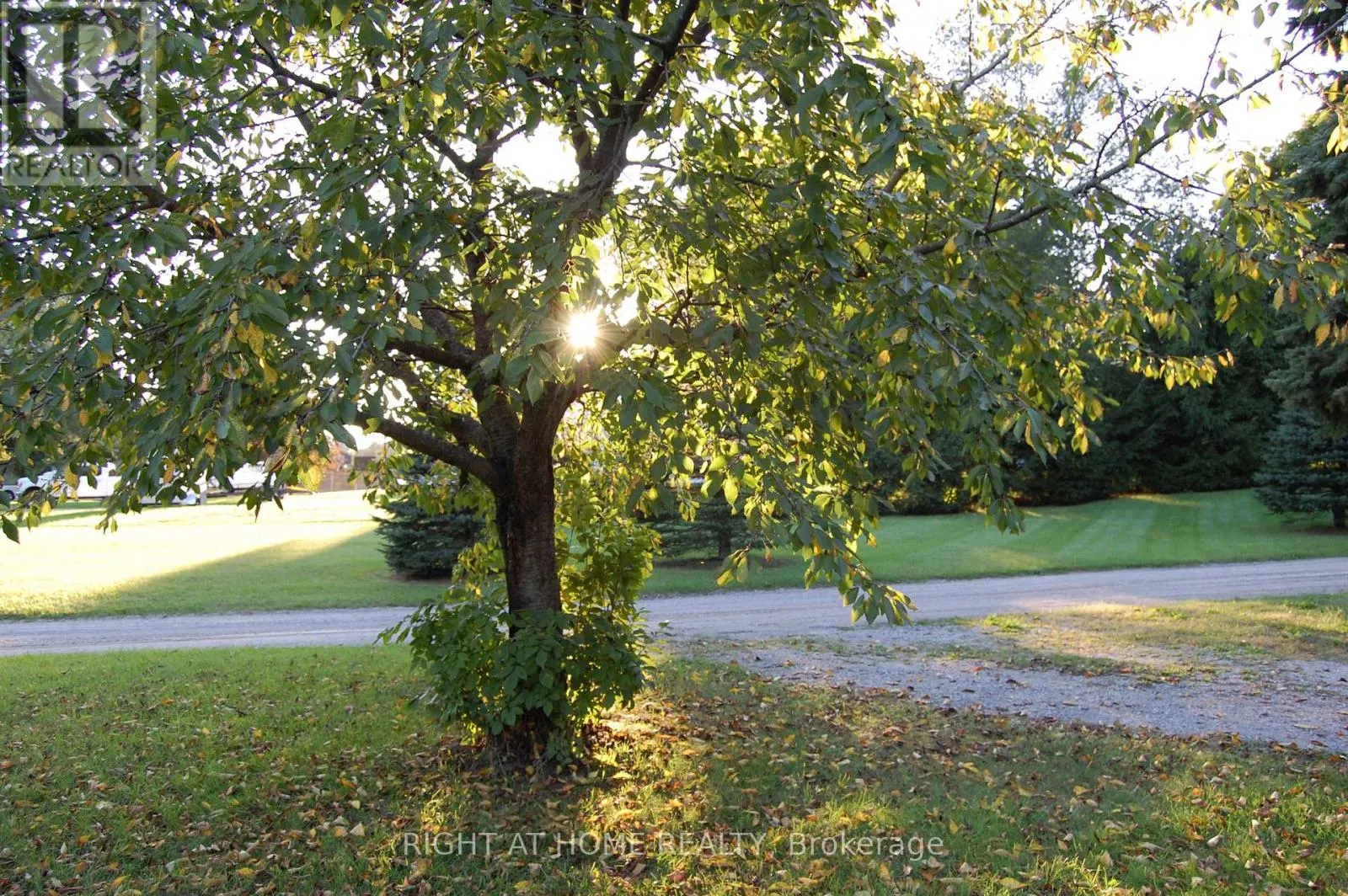 393 CANBORO ROAD