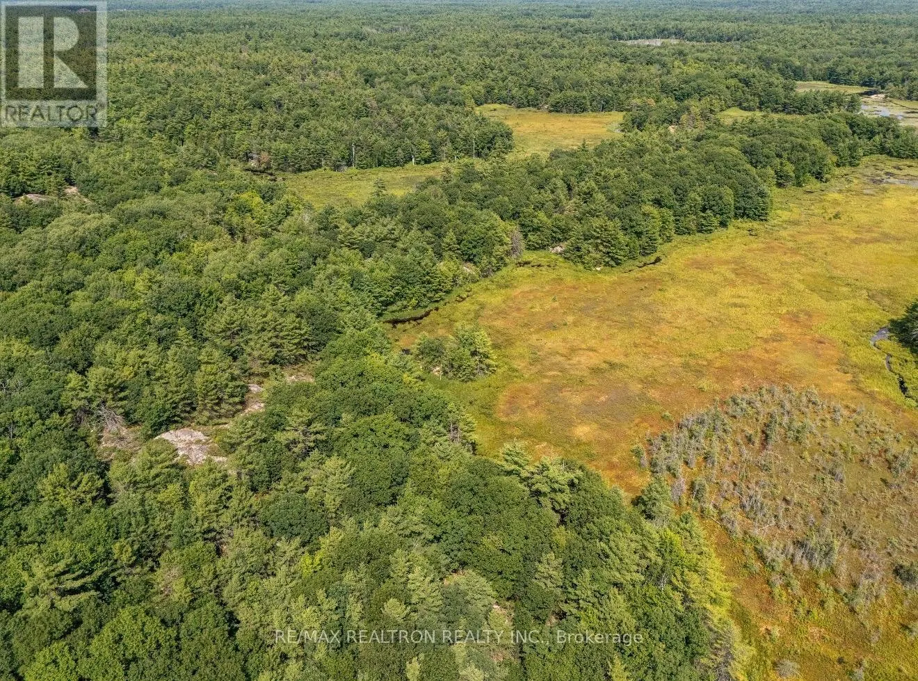 13610 GEORGIAN BAY SHORE