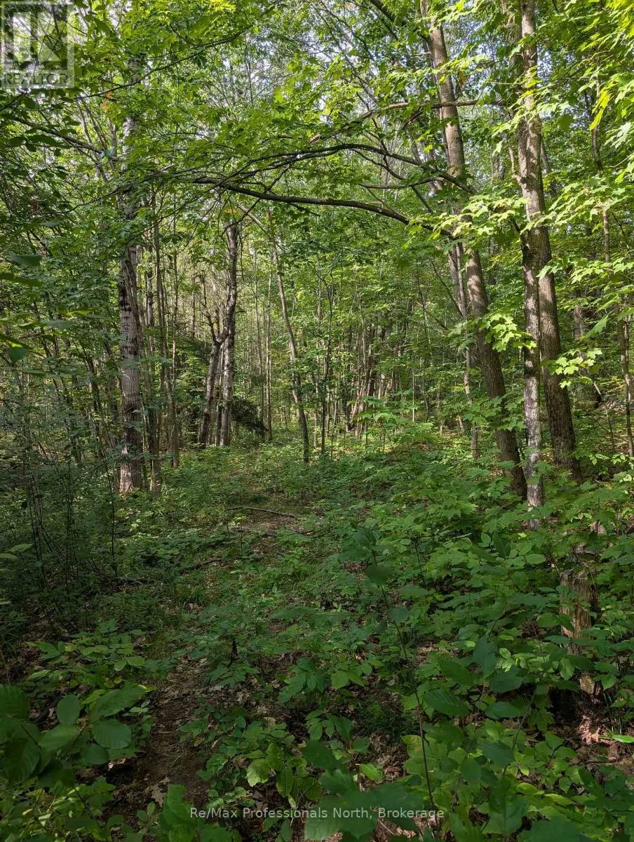 1268 MOON RIVER ROAD