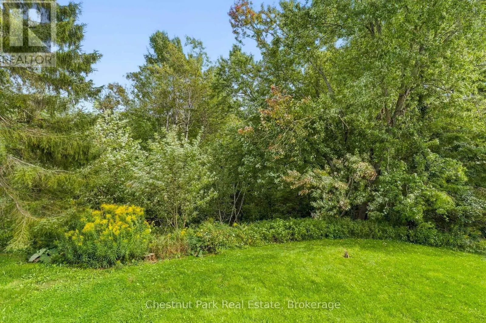 30 CATHARINE CRESCENT