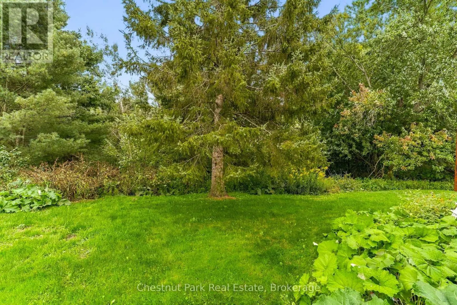 30 CATHARINE CRESCENT