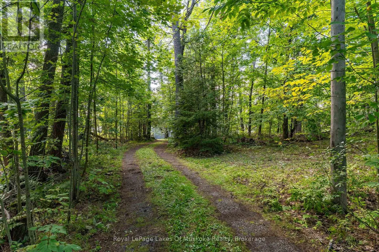 1106 CLEAR LAKE ROAD