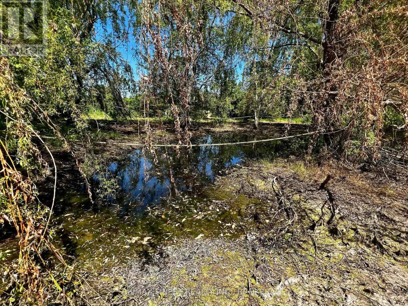 LOT 20 SOUTH SHORE ROAD