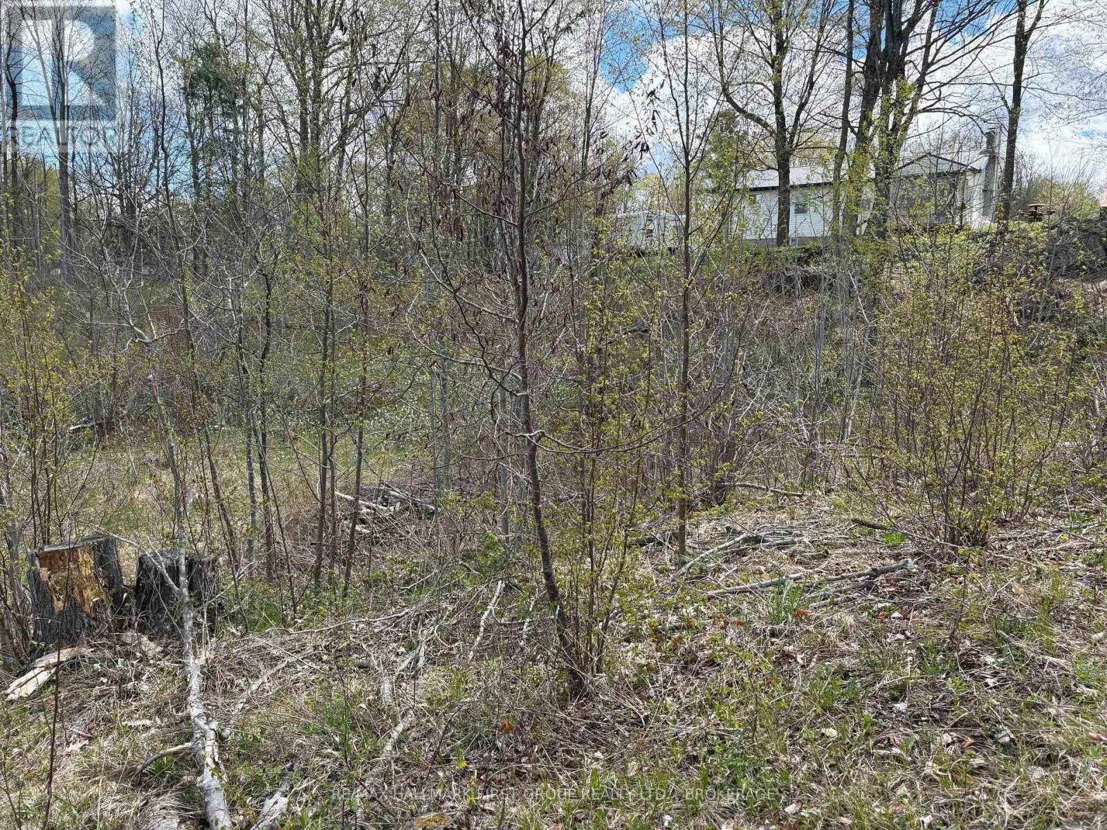 LOT 0 COUNTY ROAD 38