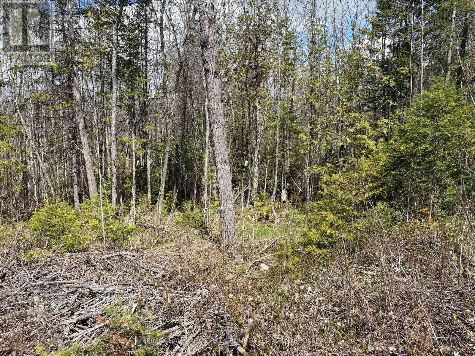 LOT 0 COUNTY ROAD 38