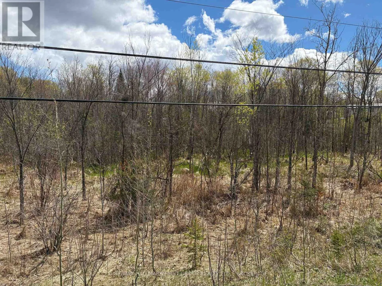 LOT 0 COUNTY ROAD 38
