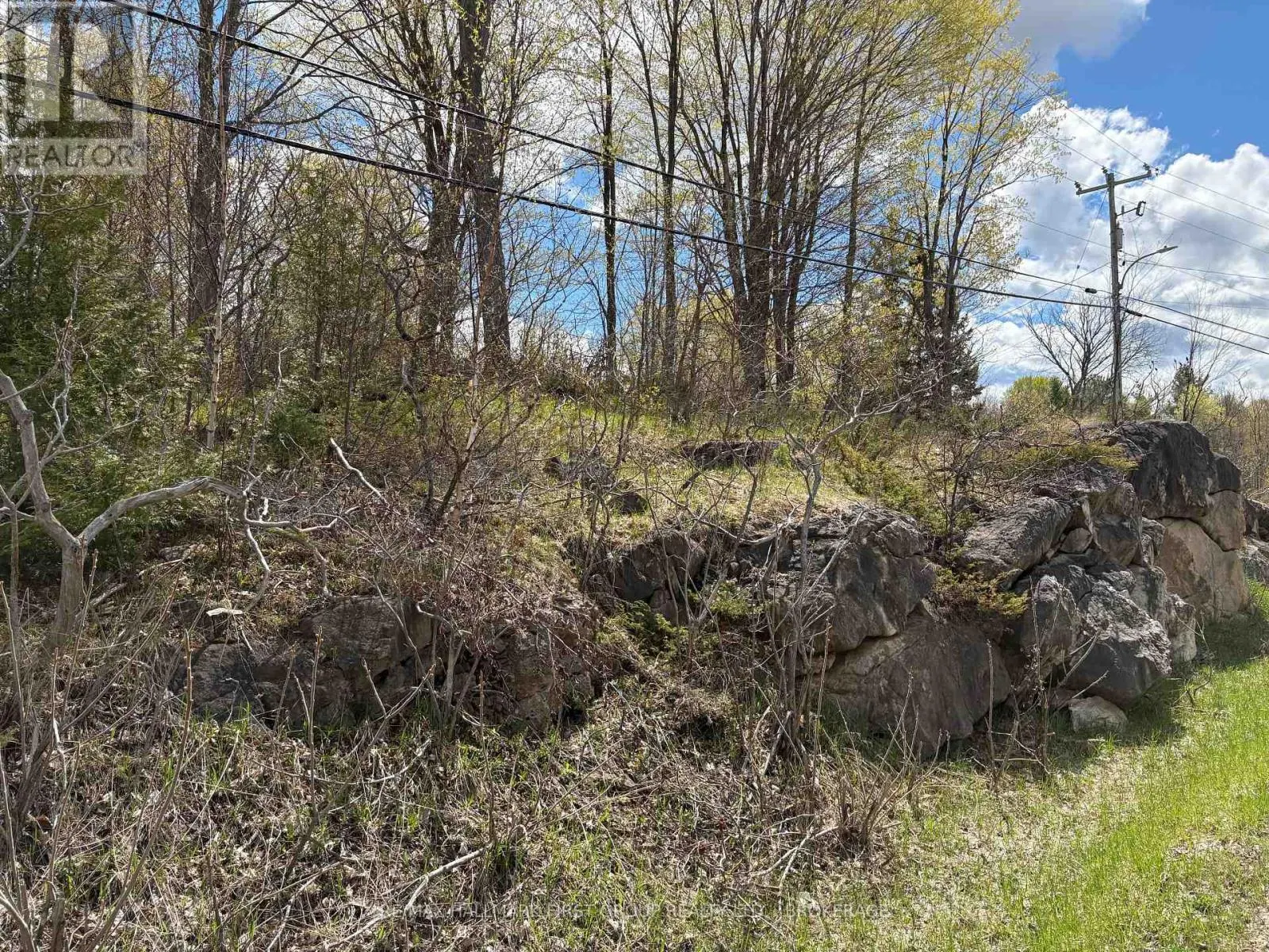 LOT 0 COUNTY ROAD 38