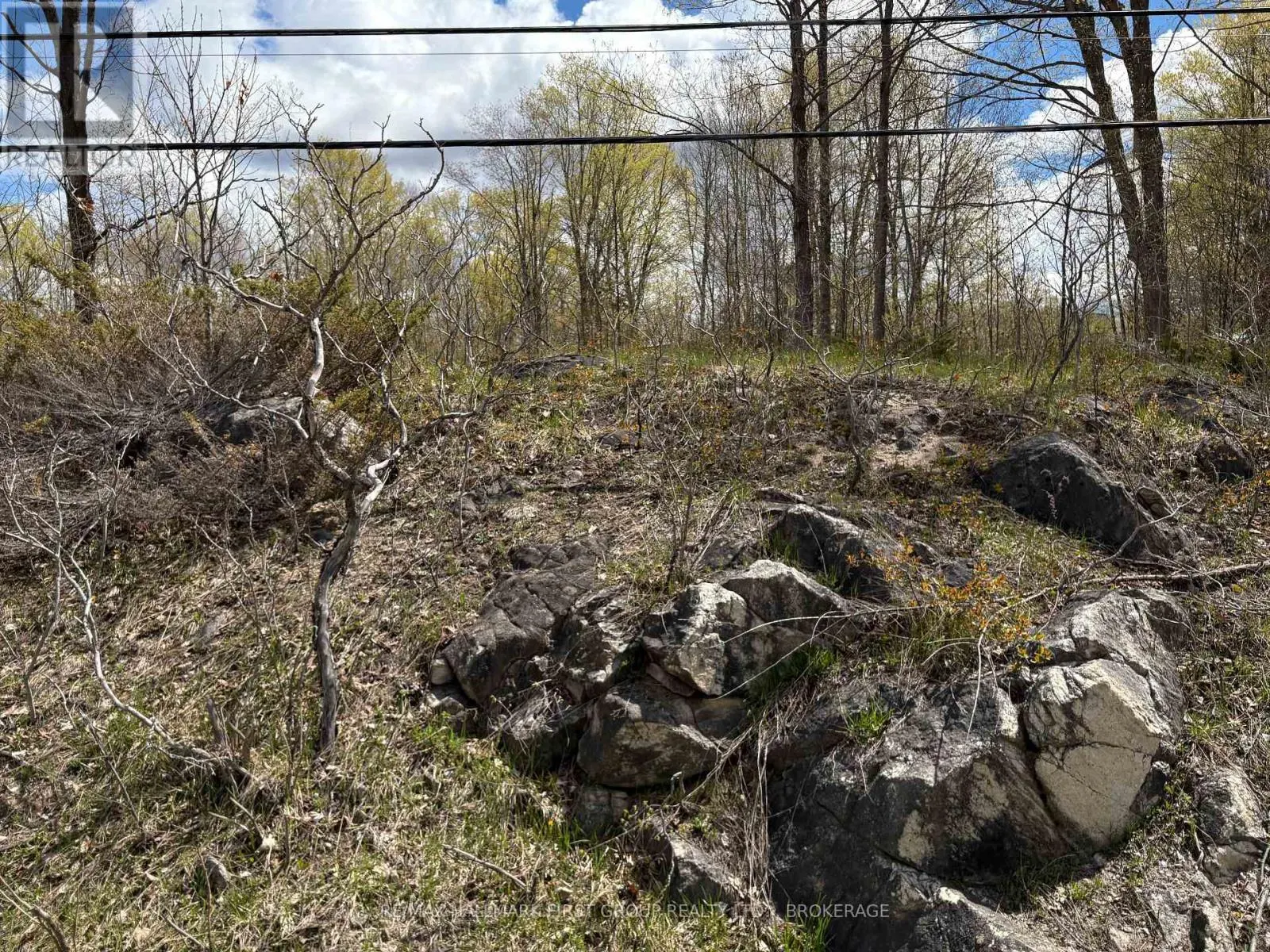 LOT 0 COUNTY ROAD 38