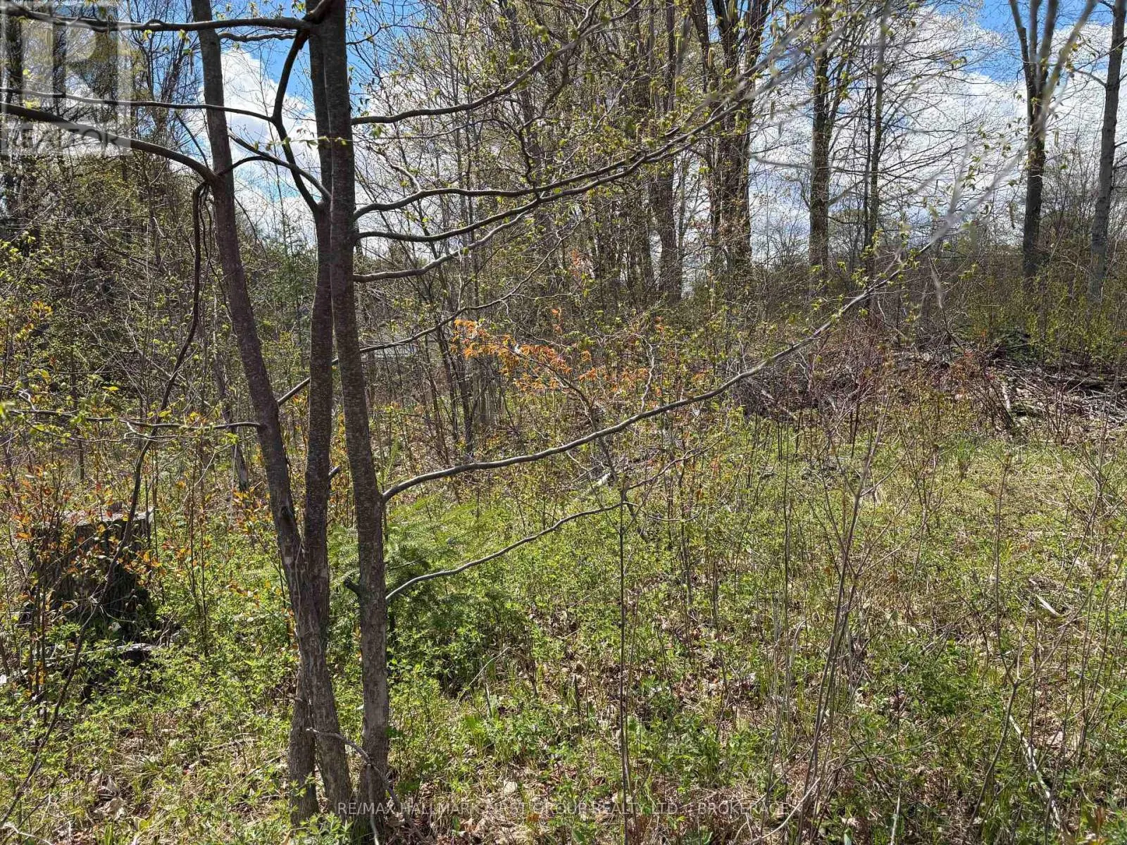 LOT 0 COUNTY ROAD 38