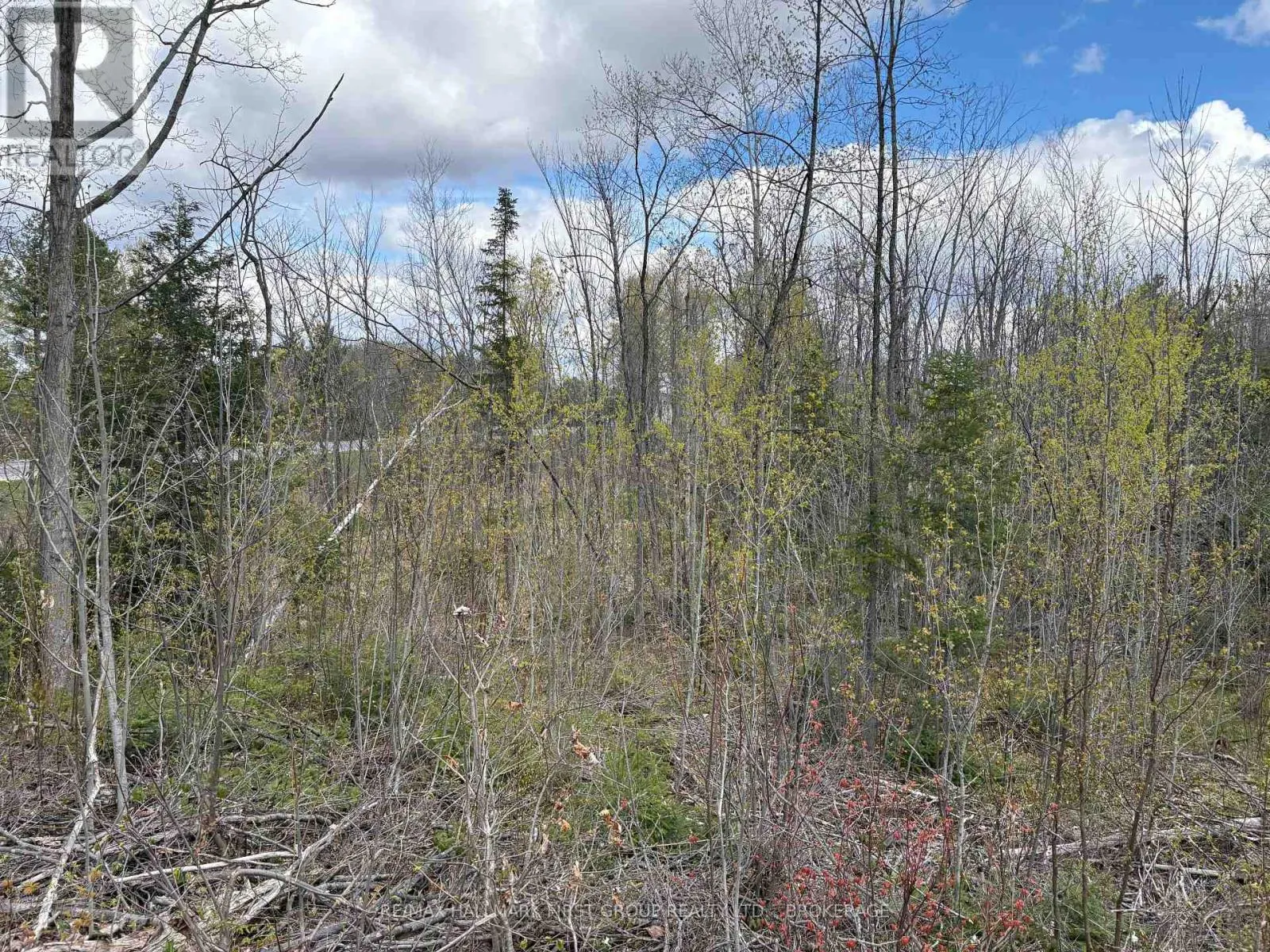 LOT 0 COUNTY ROAD 38