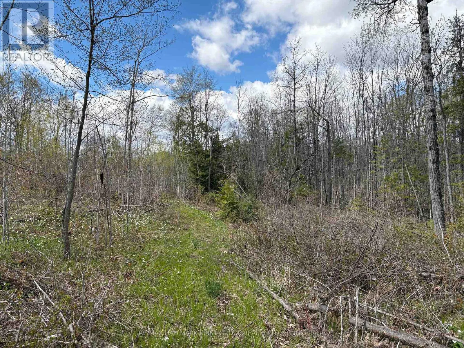 LOT 0 COUNTY ROAD 38
