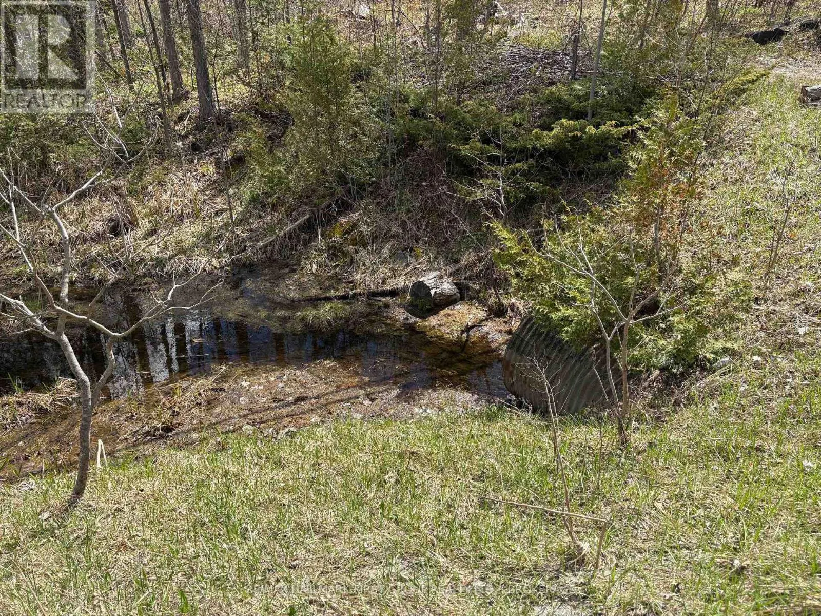 LOT 0 COUNTY ROAD 38