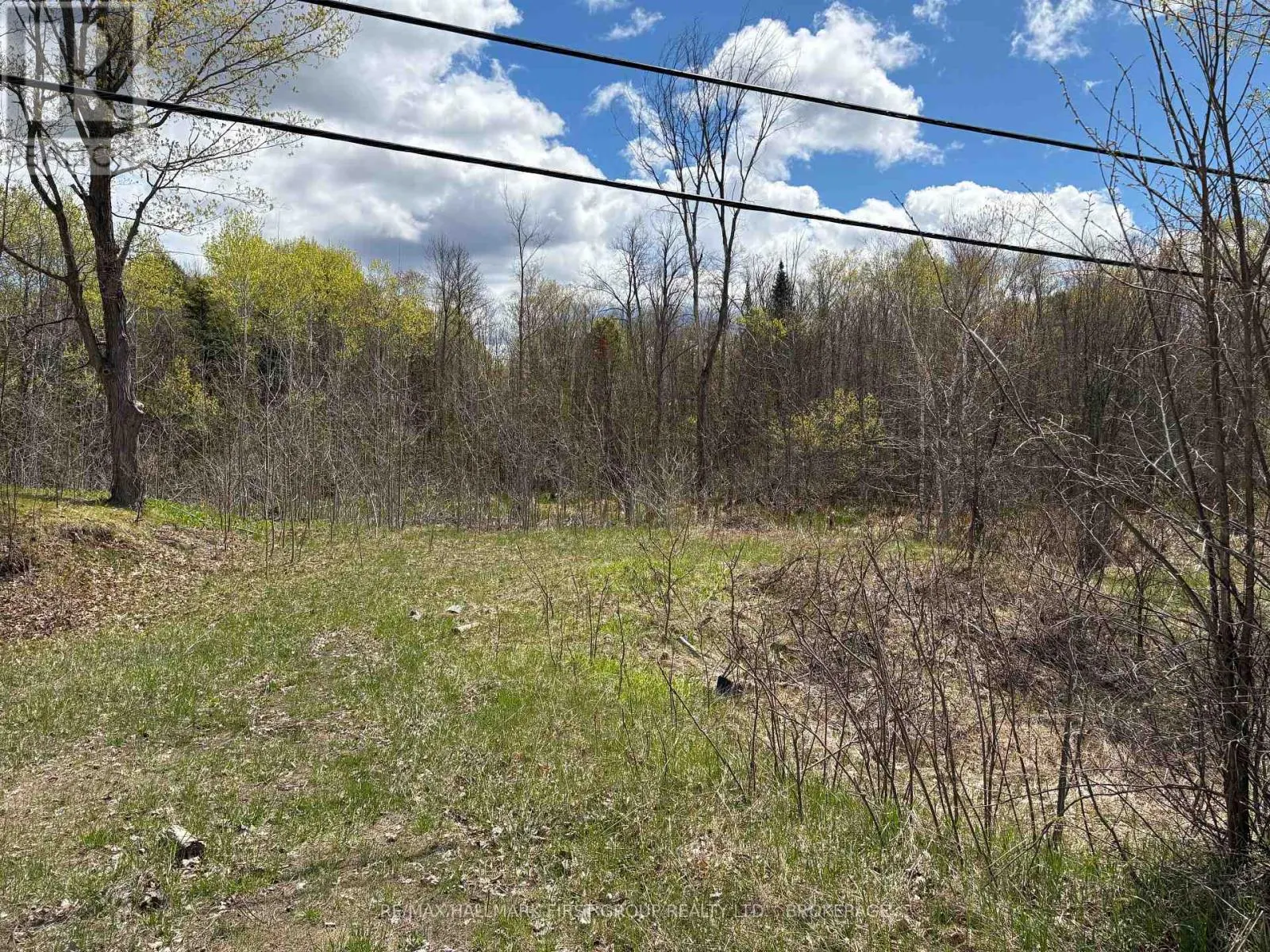LOT 0 COUNTY ROAD 38