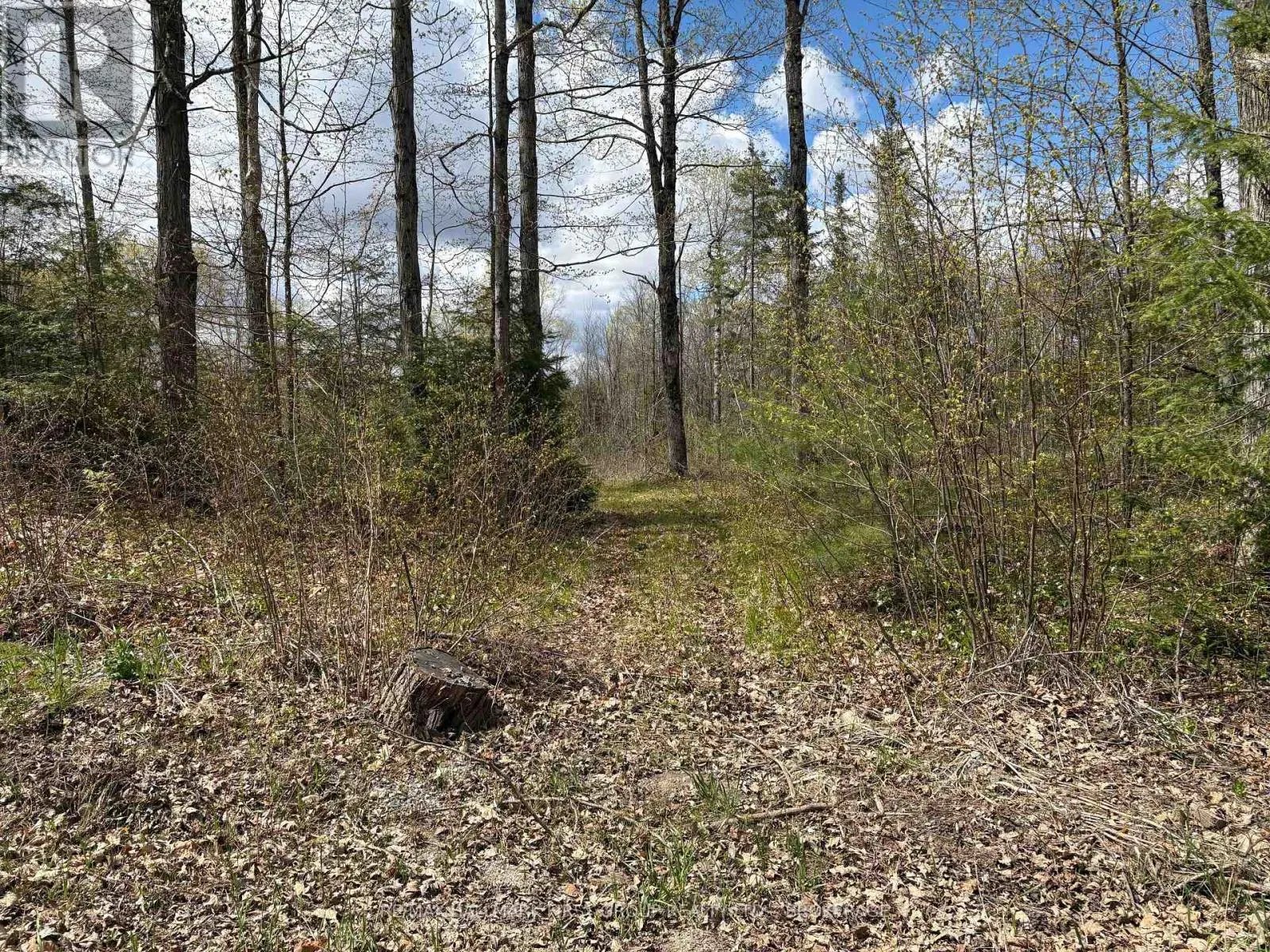 LOT 0 COUNTY ROAD 38