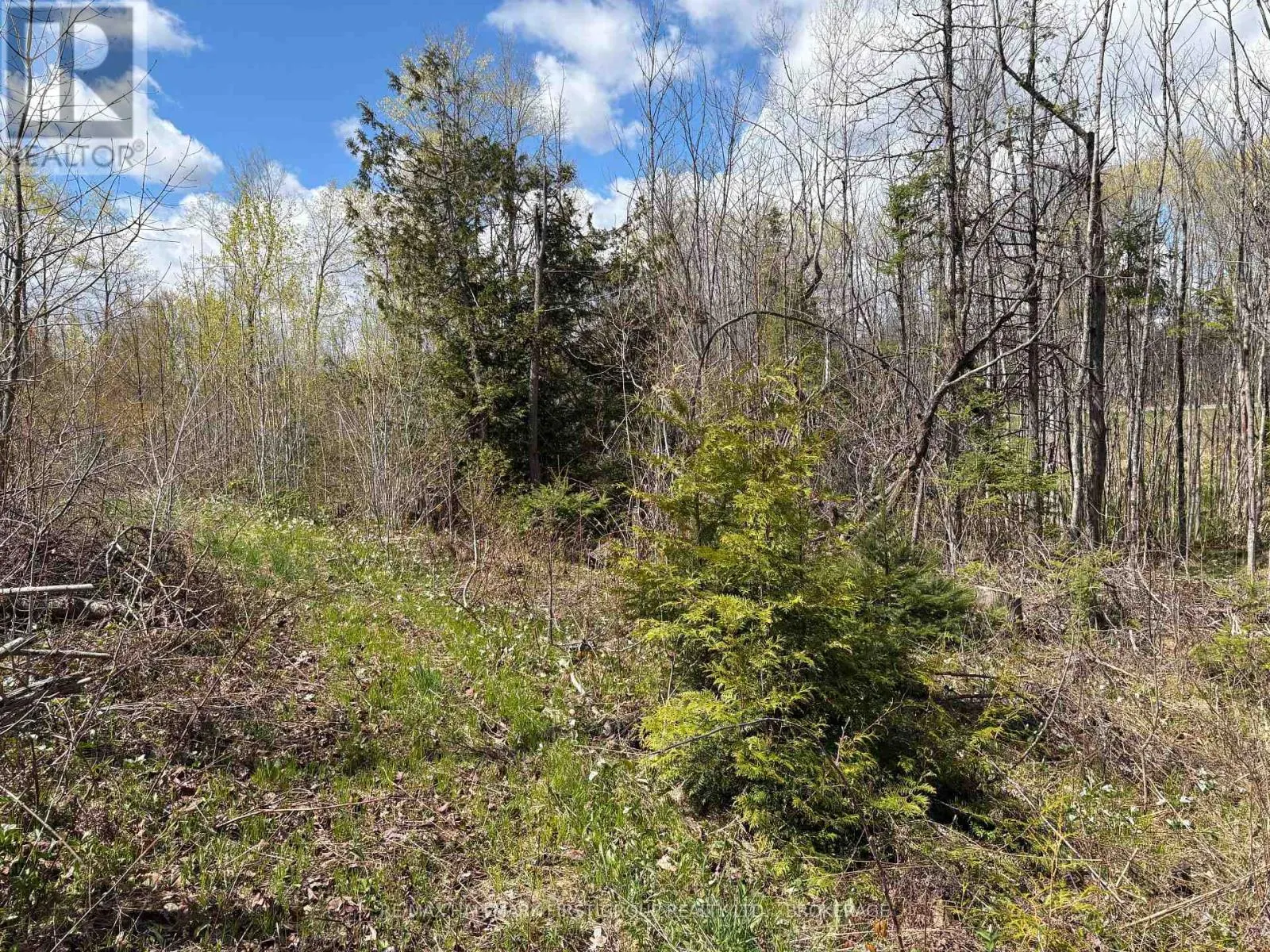 LOT 0 COUNTY ROAD 38