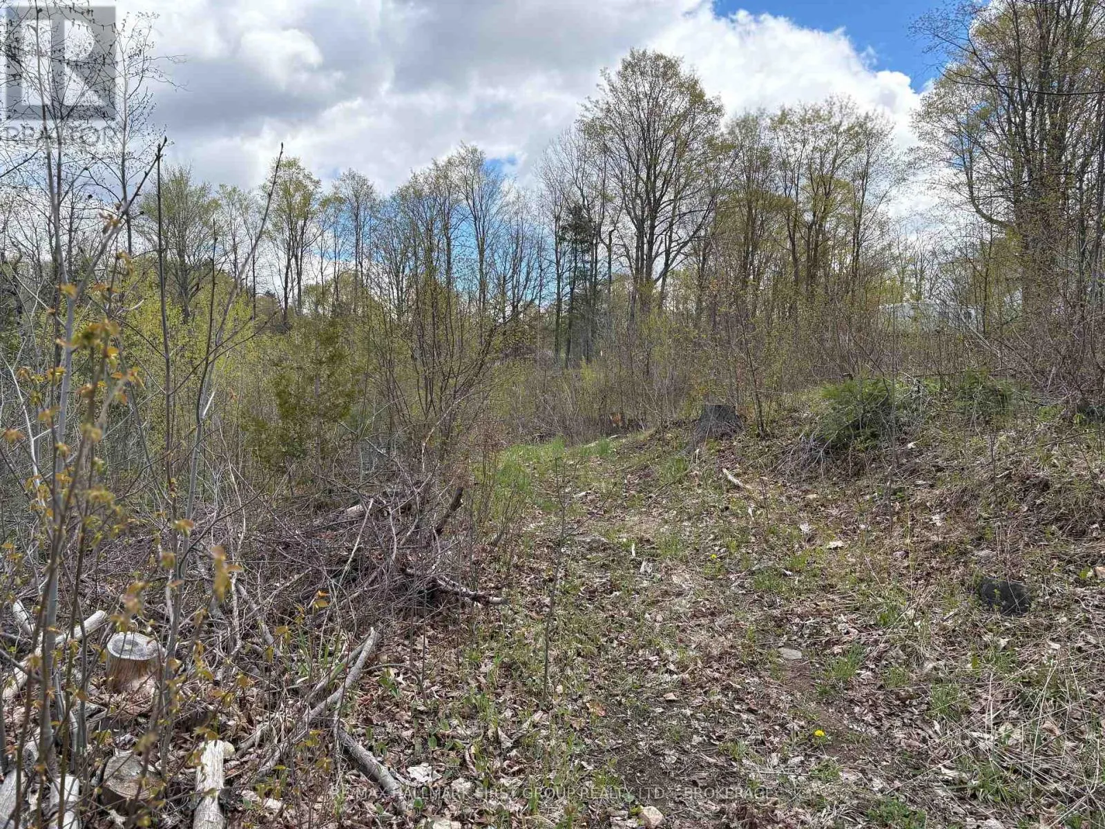 LOT 0 COUNTY ROAD 38