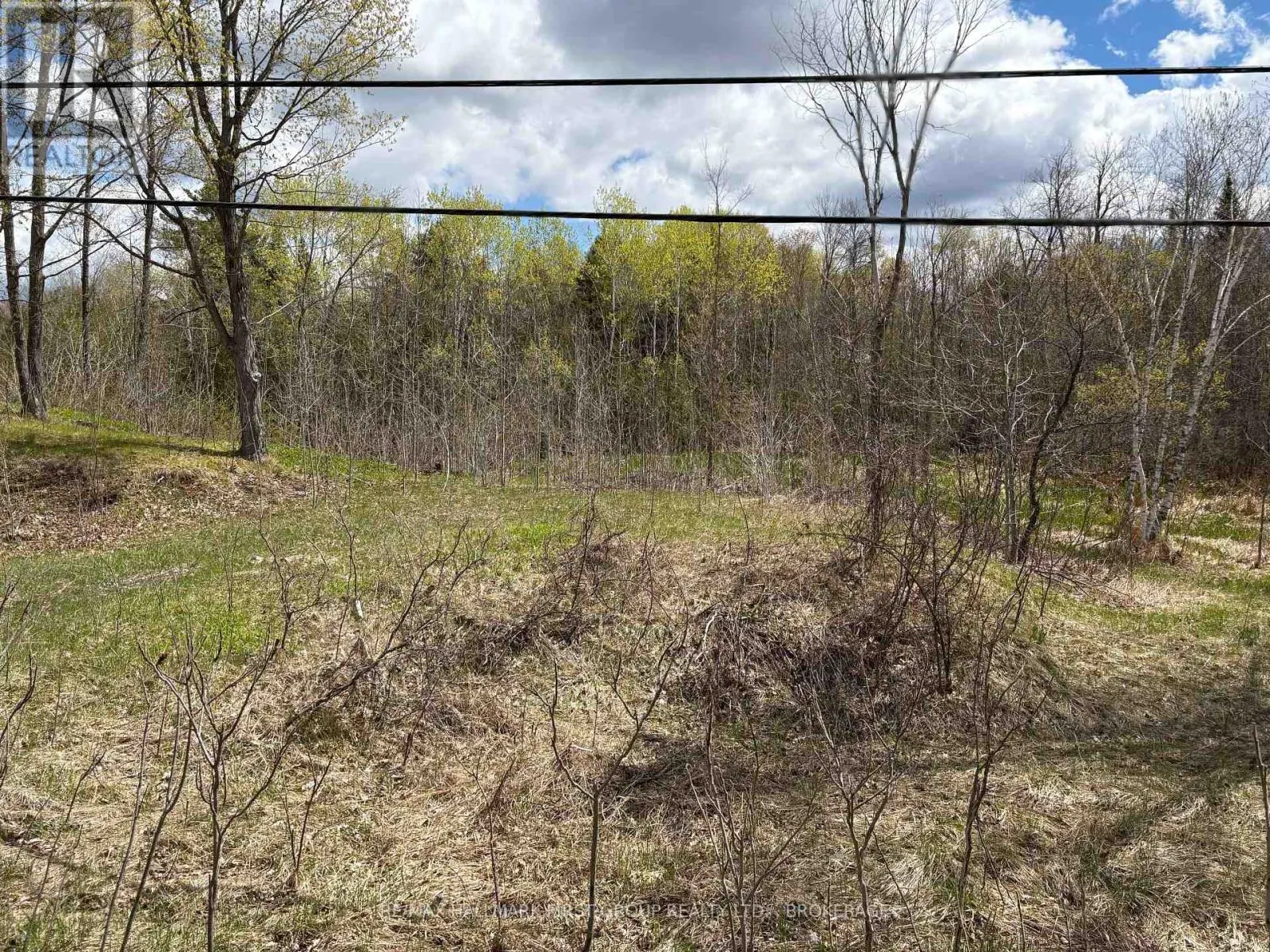 LOT 0 COUNTY ROAD 38