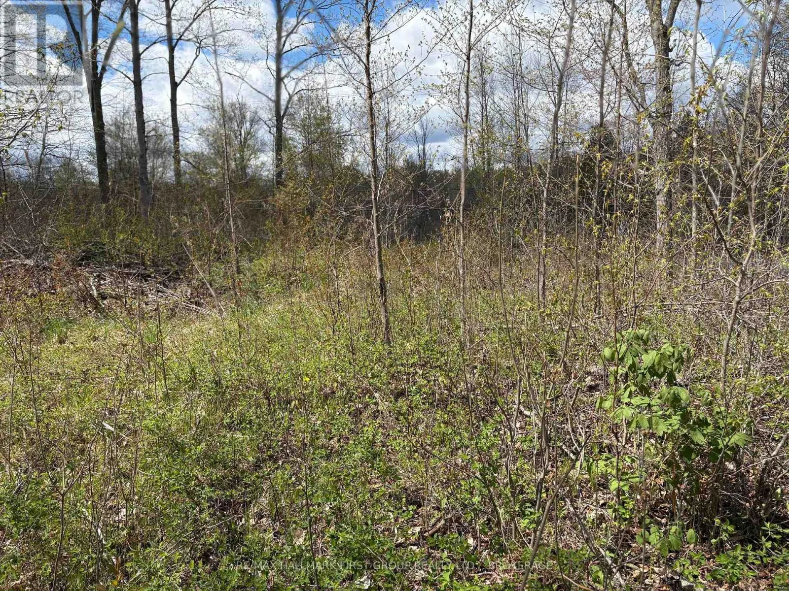 LOT 0 COUNTY ROAD 38
