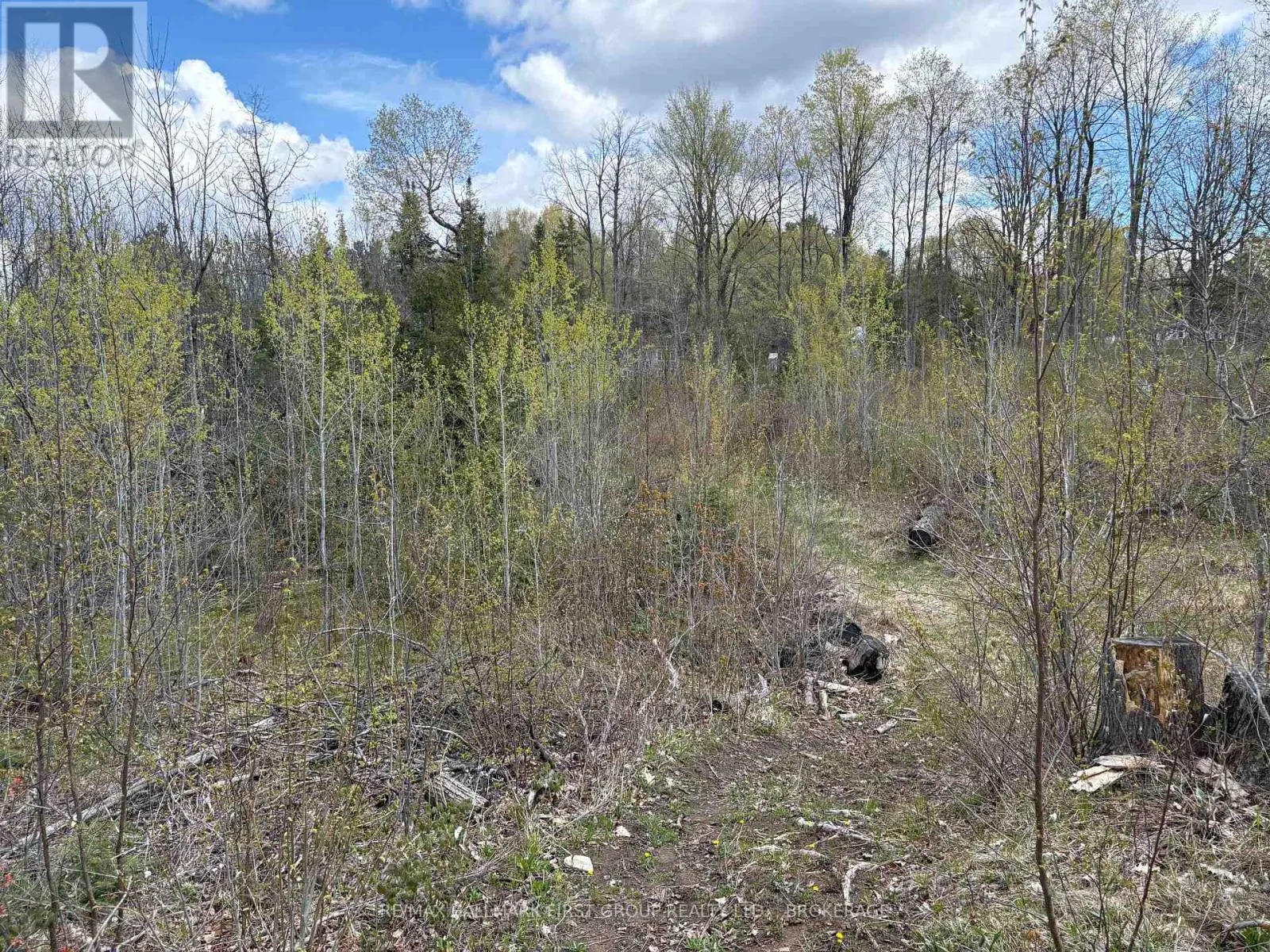 LOT 0 COUNTY ROAD 38