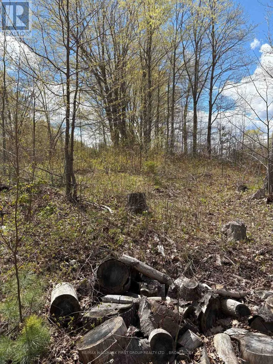 LOT 0 COUNTY ROAD 38